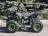 Квадроцикл RMOTO Lion 125AR Lite оптом