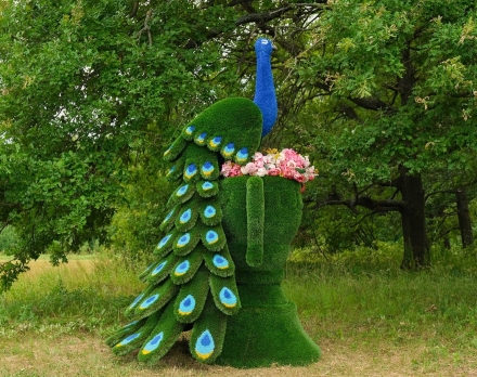 Топиари павлин Корица - газон Premium оптом, фото 1