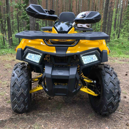 Квадроцикл MOTOLAND 200 Wild Track X оптом, фото 3