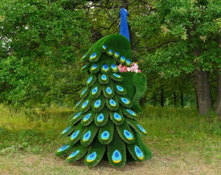 Топиари павлин Корица - газон Deluxe+Eco оптом, фото 1