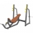 E-1042В Скамья-стойка для жима под углом вверх (Olympic Bench Incline) оптом