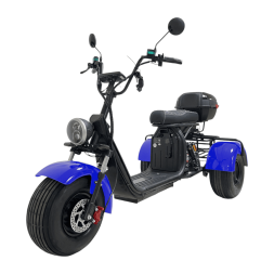 Трехколесный электроскутер CityCoCo X7 Trike 2024, фото 1