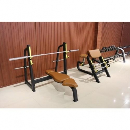 E-1043В Скамья-стойка для жима штанги лежа (Olympic Bench) оптом, фото 2