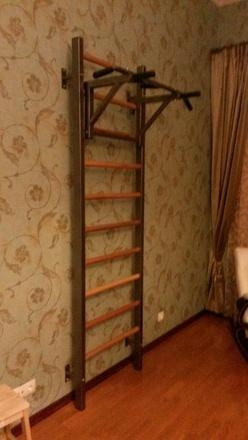 Шведская стенка комбинированная Гибрид-Т-СПШ оптом, фото 13