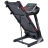 Беговая дорожка VictoryFit VF-735 оптом