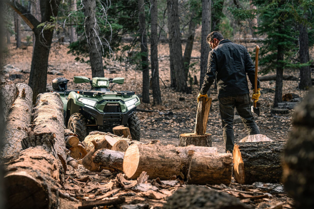 Квадроцикл KAWASAKI Brute Force 750 LE EPS (2024) (ПСМ) оптом, фото 4