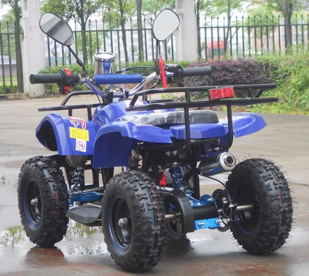 Квадроцикл RAPTOR Max Pro 49cc (2024) оптом, фото 3