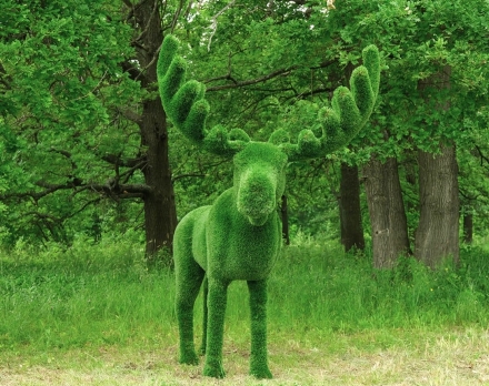 Топиари лось Карыч - газон Deluxe оптом, фото 2