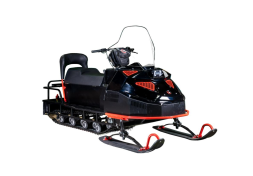 Снегоход БТС Arctic 4Т New Люкс 20 л.с. (э/зап, реверс, тормоз, улучшенная подвеска), фото 1