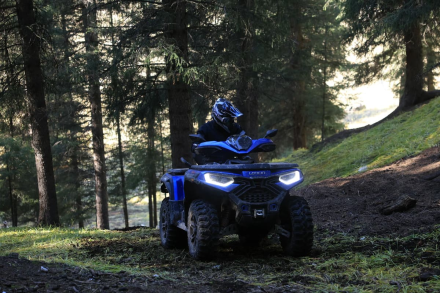 Квадроцикл LONCIN Xwolf 1000 (ПСМ) оптом, фото 11