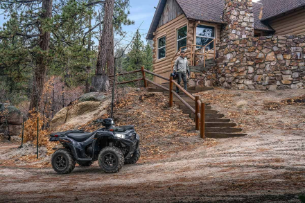 Квадроцикл KAWASAKI Brute Force 750 EPS (2024) (ПСМ) оптом, фото 11