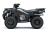 Квадроцикл KAWASAKI Brute Force 750 EPS (2024) (ПСМ) оптом