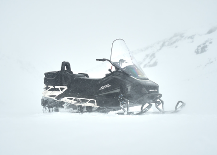 Снегоход SHARMAX SHP-1000 EFI оптом, фото 8