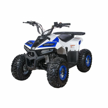 Квадроцикл детский YACOTA RAPOSA оптом, фото 1