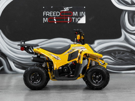 Квадроцикл SHARMAX 130 Cross оптом, фото 27