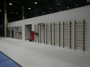 Шведская стенка EffectSport комбинированная Гибрид-ТБПШ-ДУ оптом, фото 15