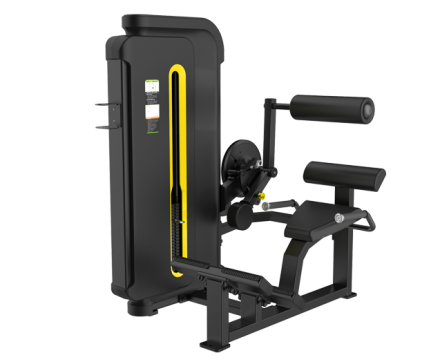 SVENSSON INDUSTRIAL H3031 Matte black Разгибание спины оптом, фото 1