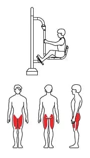 ZOV-019 Жим ногами двойной оптом, фото 3