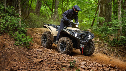 Квадроцикл YAMAHA Grizzly 700 EPS SE (ПСМ) оптом, фото 15