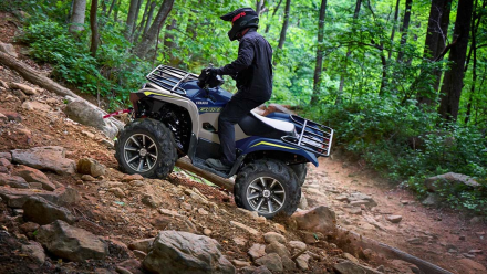 Квадроцикл YAMAHA Grizzly 700 EPS SE (ПСМ) оптом, фото 10