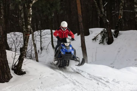 Снегоход SHARMAX SN-280 оптом, фото 20