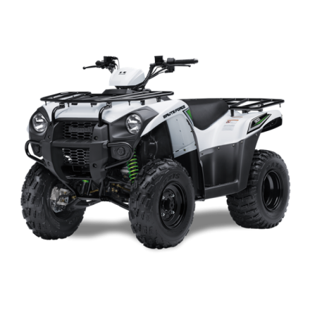 Квадроцикл Kawasaki Brute Force 300 оптом, фото 1
