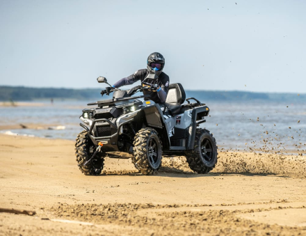 Квадроцикл РМ 800 Т (ПСМ) оптом, фото 7