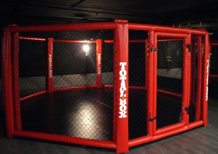 Восьмиугольный ринг MMA TOTALBOX OKT7 напольный d=7 м (без помоста) оптом, фото 1