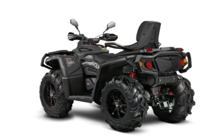 Квадроцикл AODES Pathcross MAX 1000 PRO 28X оптом, фото 3