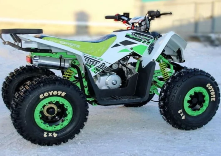 Квадроцикл MOTOLAND 125 Coyote (2021 Г.) оптом, фото 9