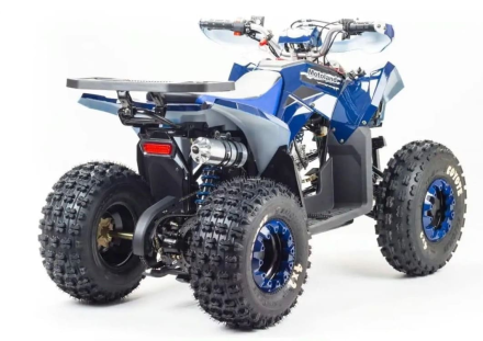 Квадроцикл MOTOLAND 125 Coyote (2021 Г.) оптом, фото 7