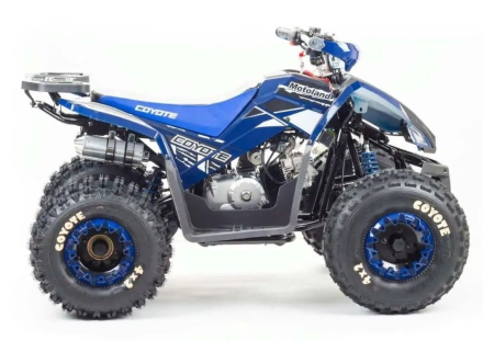 Квадроцикл MOTOLAND 125 Coyote (2021 Г.) оптом, фото 6