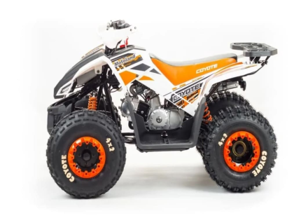 Квадроцикл MOTOLAND 125 Coyote (2021 Г.) оптом, фото 3