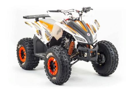 Квадроцикл MOTOLAND 125 Coyote (2021 Г.) оптом, фото 2