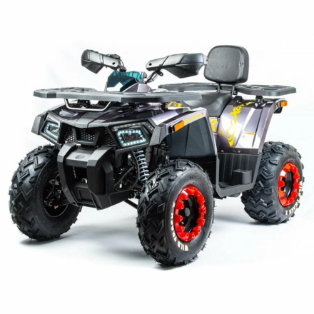 Квадроцикл подростковый MotoLand ATV 200 WILD TRAСK X оптом, фото 1