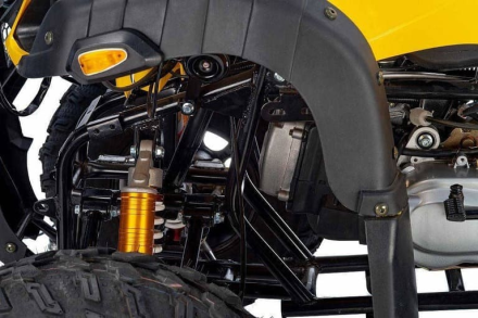 Квадроцикл RAPTOR Max Pro 250 (жёлтый/чёрный) (2024) оптом, фото 11