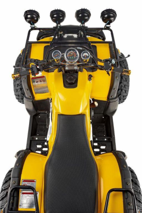 Квадроцикл RAPTOR Max Pro 250 (жёлтый/чёрный) (2024) оптом, фото 4