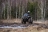 Квадроцикл AODES Pathcross MAX 1000 Army оптом