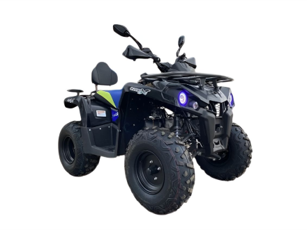 Квадроцикл GLADIATOR F200 Premium оптом, фото 2