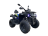 Квадроцикл GLADIATOR F200 Premium оптом
