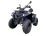 Квадроцикл GLADIATOR F200 Premium оптом