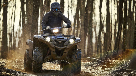 Квадроцикл YAMAHA Grizzly 700 EPS STD (ПСМ) оптом, фото 3