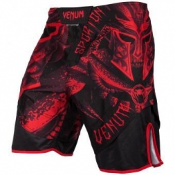 Шорты Venum venshorts0306, фото 2