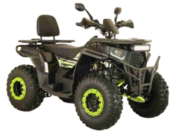 Квадроцикл ATV ARMIS 250