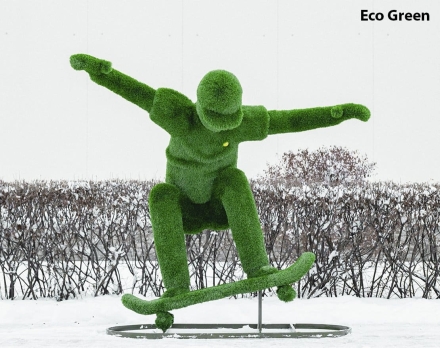 Топиари Скейтер - газон Eco оптом, фото 5