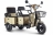 Трицикл Rutrike Вагон оптом