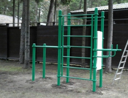Турник, брусья, вертикальный пресс, шведская стенка СВС-68 оптом, фото 3