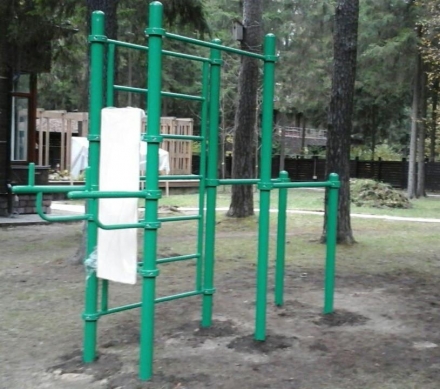 Турник, брусья, вертикальный пресс, шведская стенка СВС-68 оптом, фото 4