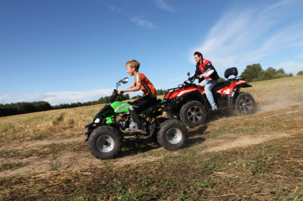 Квадроцикл RM Рысь 150 оптом, фото 7