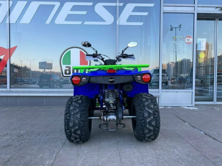 Квадроцикл IRIDE 200 ROVER оптом, фото 5